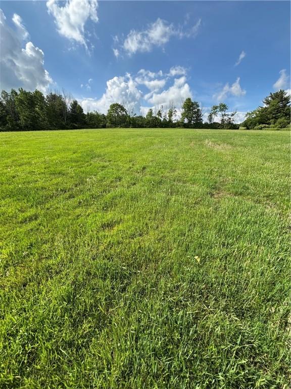 111 Frost Hollow Rd, Tioga, NY 13734 - photo 8