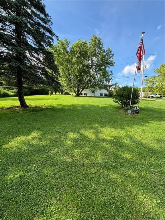 111 Frost Hollow Rd, Tioga, NY 13734 - photo 3