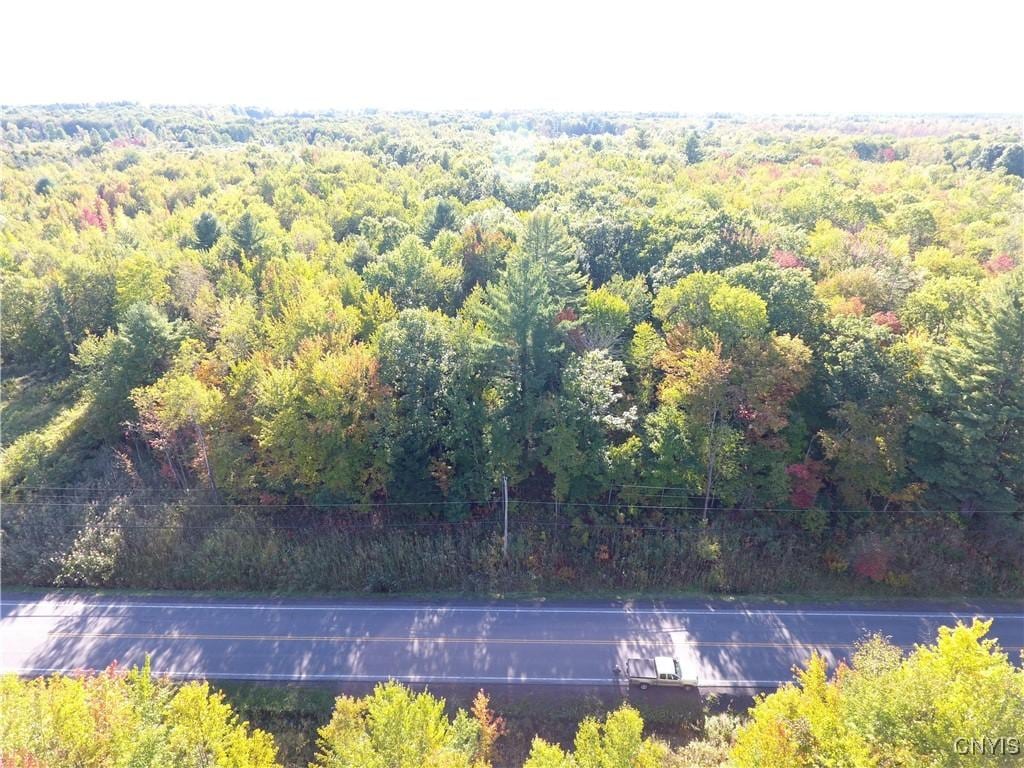 LOT17 W Thomas St, Rome-Inside, NY 13440 - photo 3