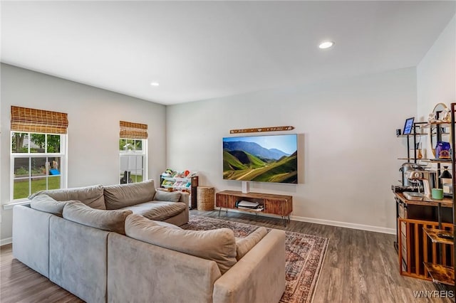 4217 Arthur Ct, Hamburg, NY 14075 - living room featuring wood finished floors and recessed lighting