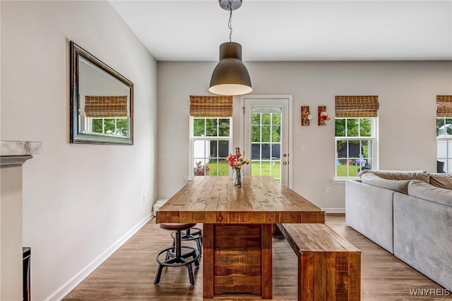 4217 Arthur Ct, Hamburg, NY 14075 - dining area with wood finished floors