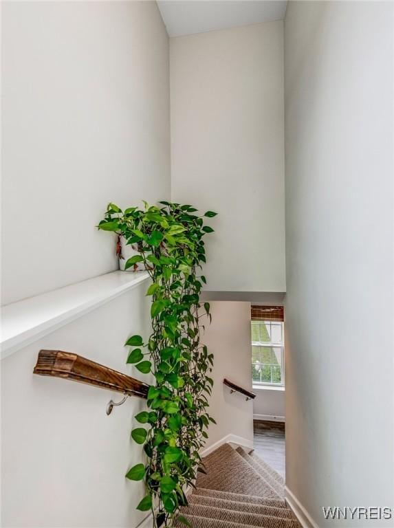 4217 Arthur Ct, Hamburg, NY 14075 - stairs featuring baseboards