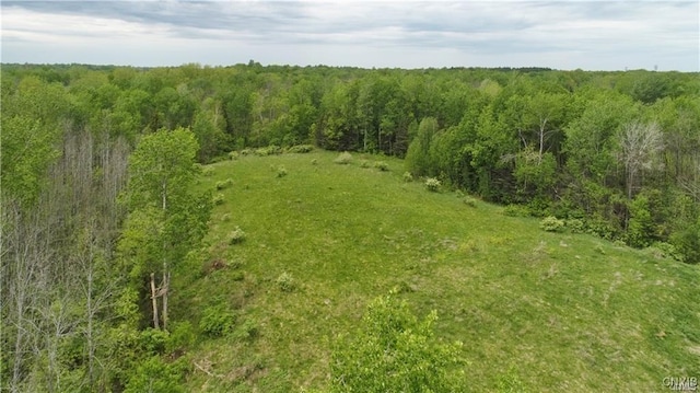 9141 River Rd, Lysander, NY 13027