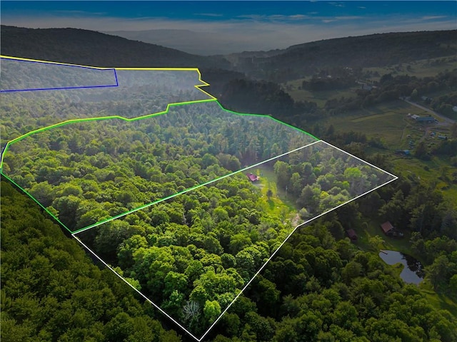 661 Lewis Rd, Meredith, NY 13806 - aerial overview of property's location with property boundaries highlighted