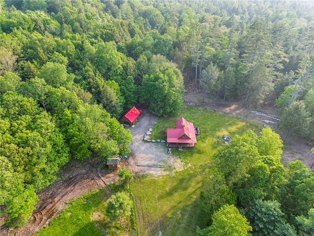 661 Lewis Rd, Meredith, NY 13806 - aerial view of property and surrounding area with a forest