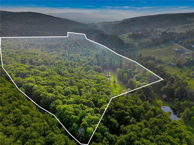 661 Lewis Rd, Meredith, NY 13806 - aerial view of property's location with property boundaries highlighted and a mountainous background