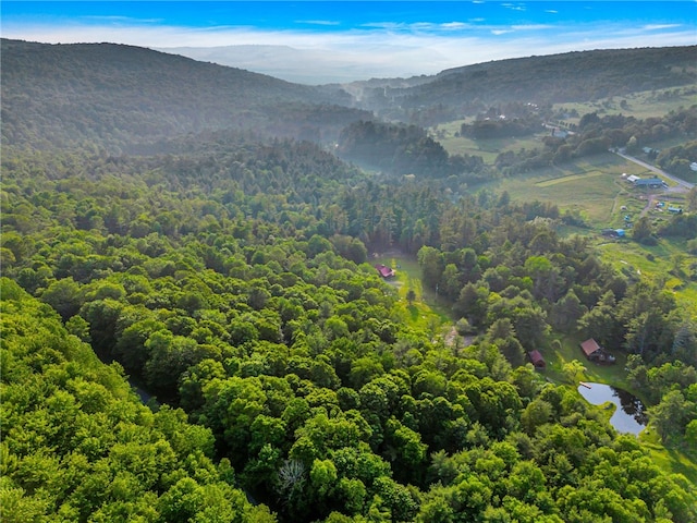 661 Lewis Rd, Meredith, NY 13806 - mountain view featuring a forest