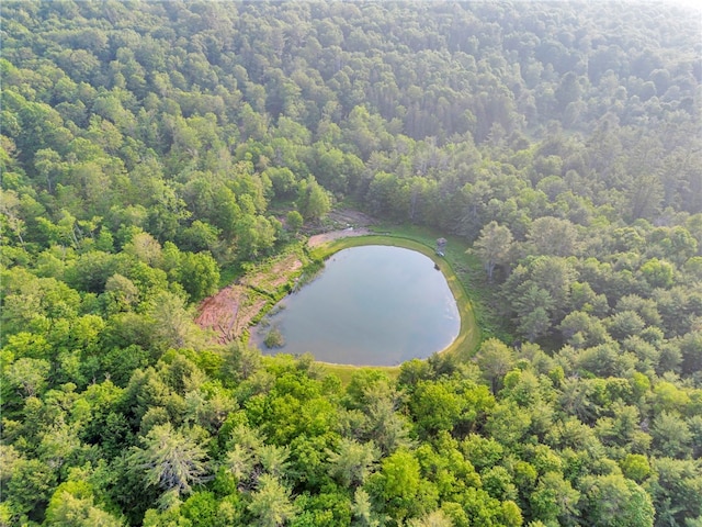 661 Lewis Rd, Meredith, NY 13806 - bird's eye view of a nearby body of water and a forest