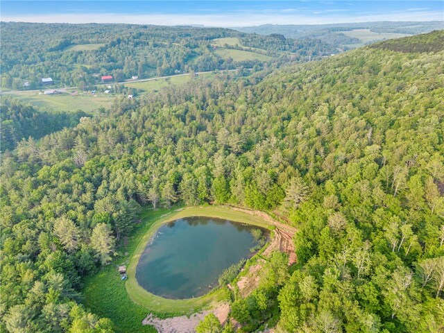 661 Lewis Rd, Meredith, NY 13806 - aerial overview of property's location featuring a heavily wooded area and a large body of water