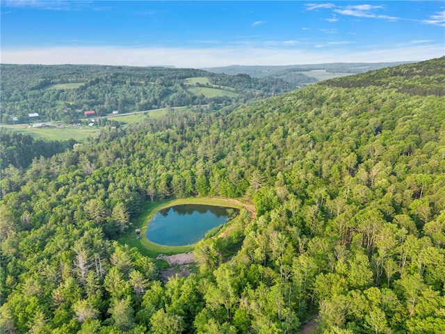 661 Lewis Rd, Meredith, NY 13806 - aerial view of property and surrounding area with a forest and a nearby body of water