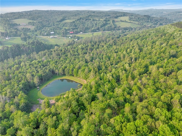 661 Lewis Rd, Meredith, NY 13806 - aerial view of property and surrounding area with a heavily wooded area and a nearby body of water