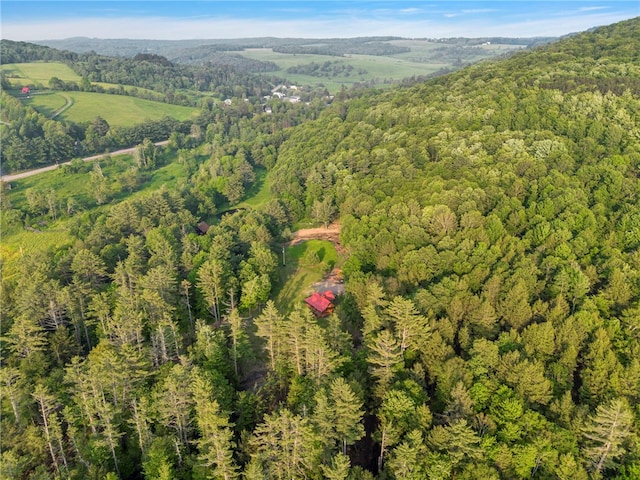661 Lewis Rd, Meredith, NY 13806 - aerial view of property and surrounding area with a forest