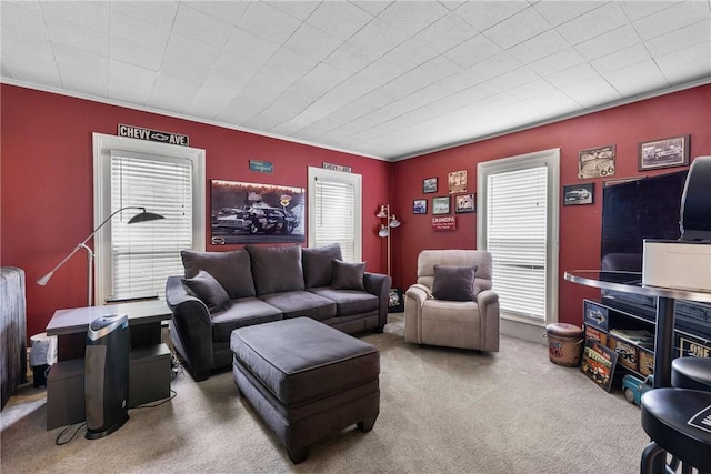 639 Plank Rd, Penfield, NY 14580 - carpeted living area featuring crown molding