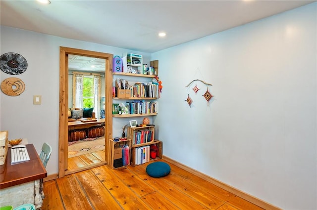 258 E State St, Albion, NY 14411 - office space with wood-type flooring and recessed lighting