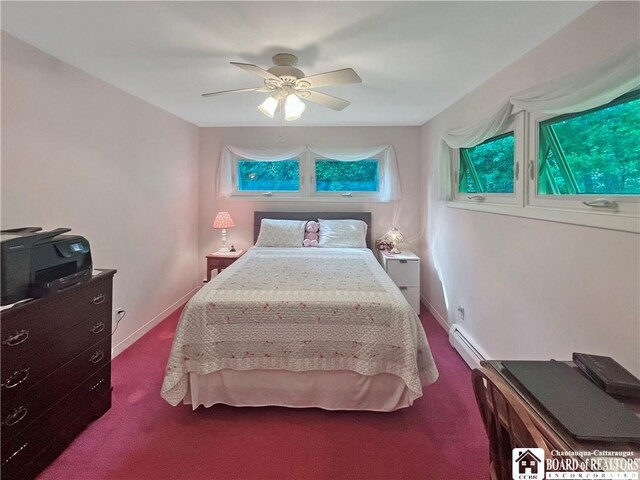 18 Meadowbrook Ct, Wellsville, NY 14895 - photo 27