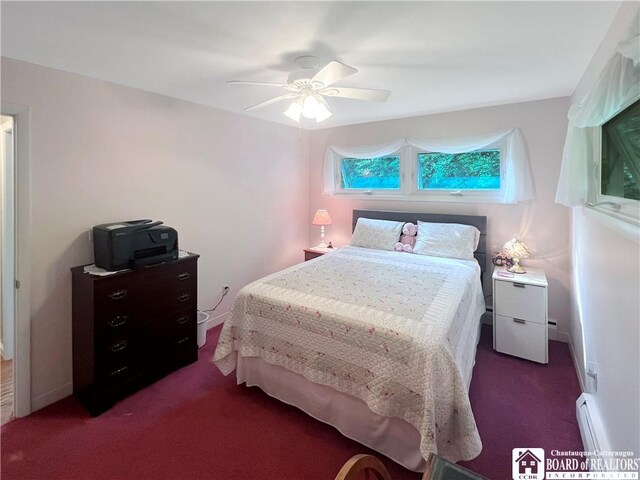 18 Meadowbrook Ct, Wellsville, NY 14895 - photo 28