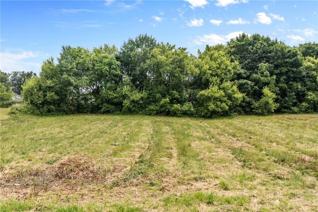 14 Elmer St Unit 12, Lyons, NY 14489