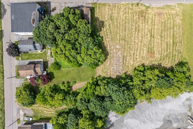 14 Elmer St Unit 12, Lyons, NY 14489