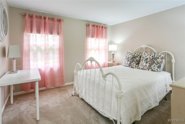 92 Bridle Path, Amherst, NY 14221 - bedroom with carpet and baseboards