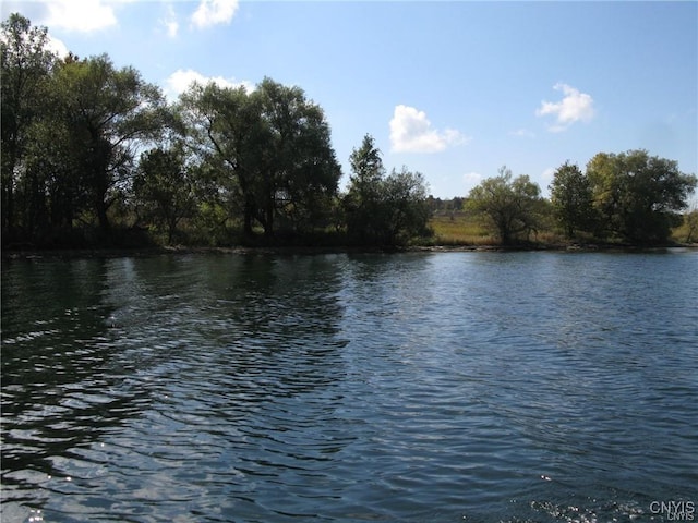 3939 Carleton Island Rd Unit 2, Cape Vincent, NY 13618