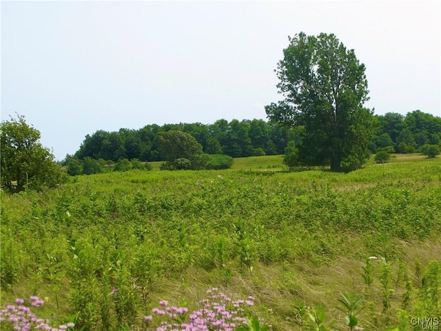 3939 Carleton Island Rd Unit 2, Cape Vincent, NY 13618