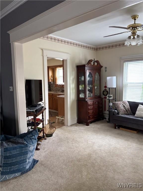 126 N 8th St, Olean-City, NY 14760 - living room featuring a ceiling fan, light colored carpet, and crown molding