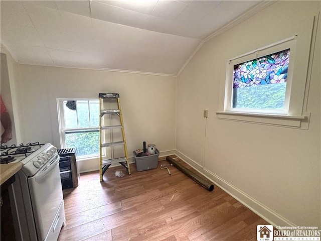 362 E 4th St, Jamestown, NY 14701 - interior space featuring healthy amount of natural light, ornamental molding, light wood finished floors, and vaulted ceiling