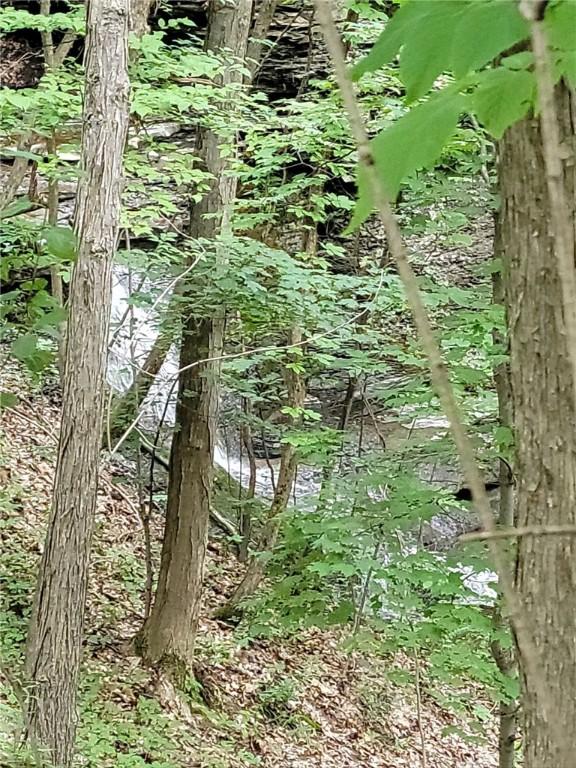 2 Red Cedar Ln, Starkey, NY 14837