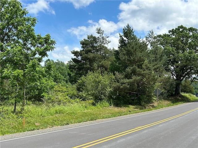 0 County Road 9, Hector, NY 14818