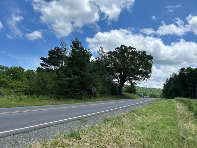 0 County Road 9, Hector, NY 14818