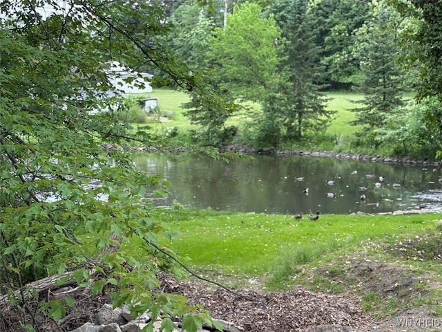 20 Dan Troy Dr, Amherst, NY 14221 - water view
