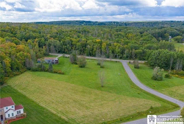 Grandview Ests, Busti, NY 14750 - photo 2