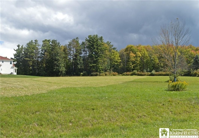 Grandview Ests, Busti, NY 14750 - photo 4