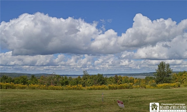Grandview Ests, Busti, NY 14750 - photo 6