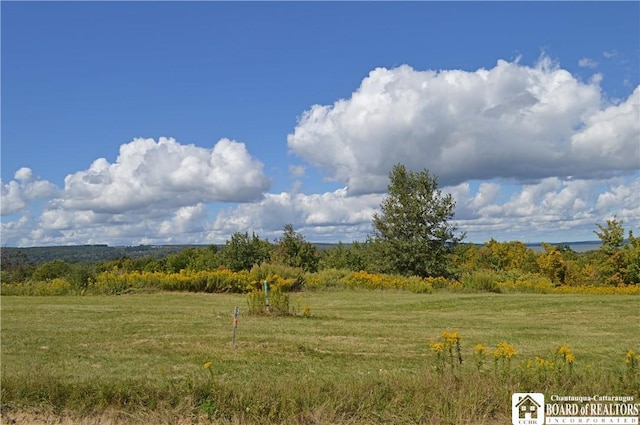 Grandview Ests, Busti, NY 14750 - photo 7