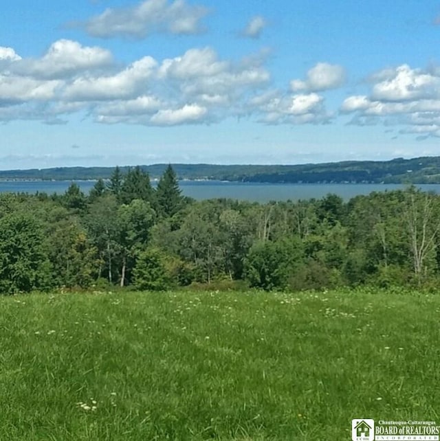 Grandview Ests, Busti, NY 14750 - photo 8