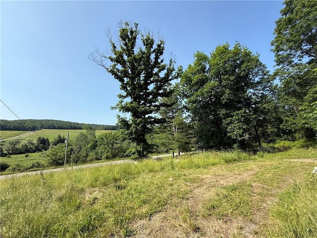 759 Clendenning Rd, Lindley, NY 14858 - photo 8