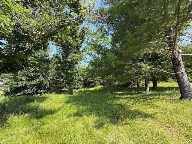 759 Clendenning Rd, Lindley, NY 14858 - photo 4