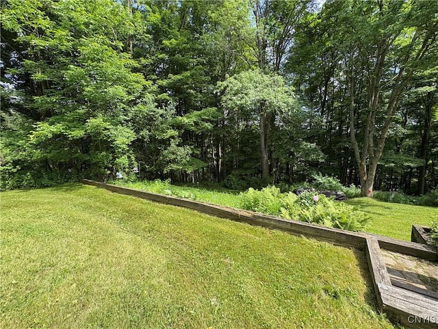 1708 Bonney Rd, Hamilton, NY 13346 - view of grassy yard