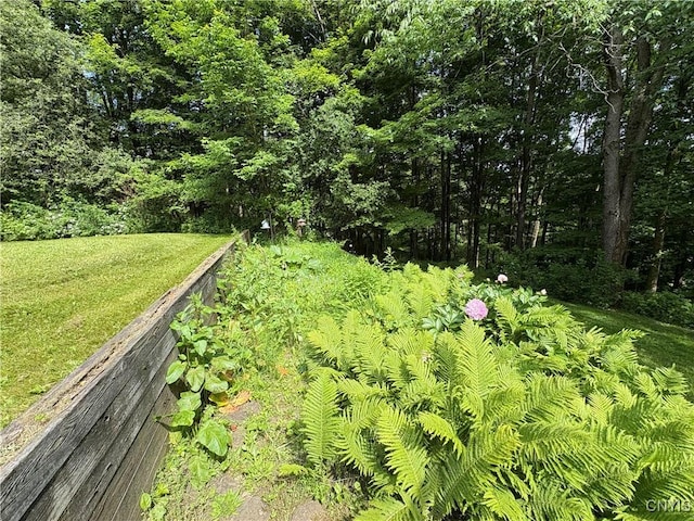 1708 Bonney Rd, Hamilton, NY 13346 - view of grassy yard