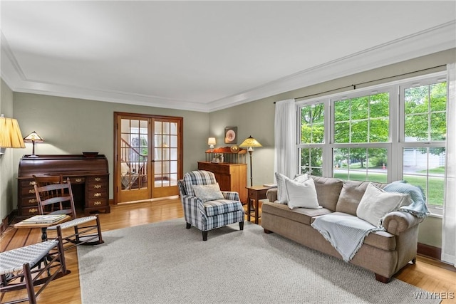 63 Chauncey Ln, Orchard Park, NY 14127 - living room with ornamental molding and light wood-style floors