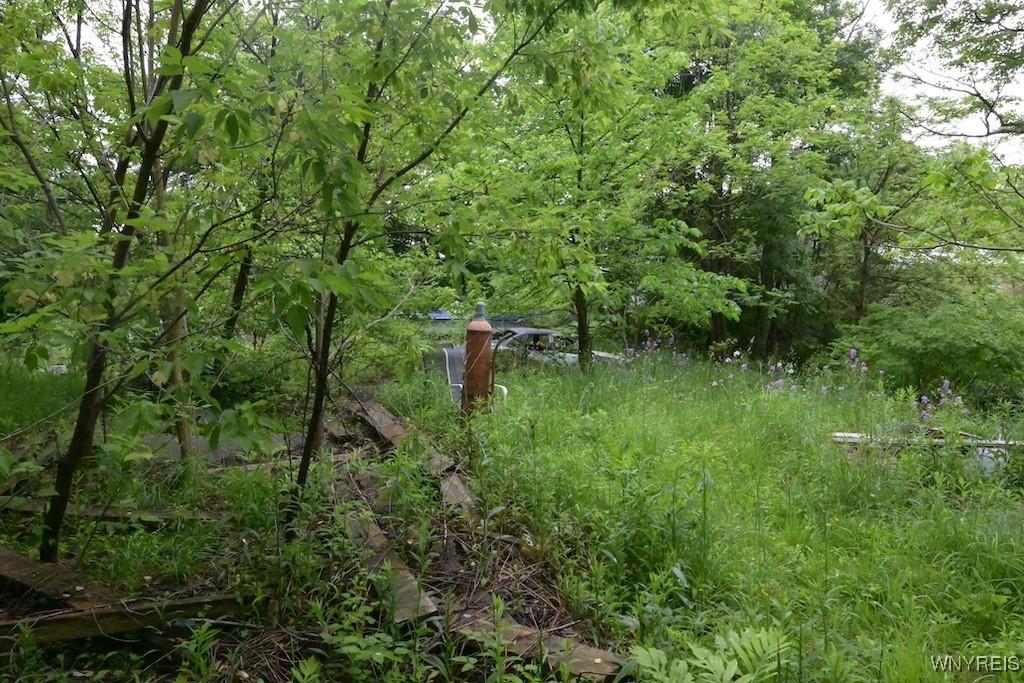 39 Waverly St, New Albion, NY 14719 - view of undeveloped land