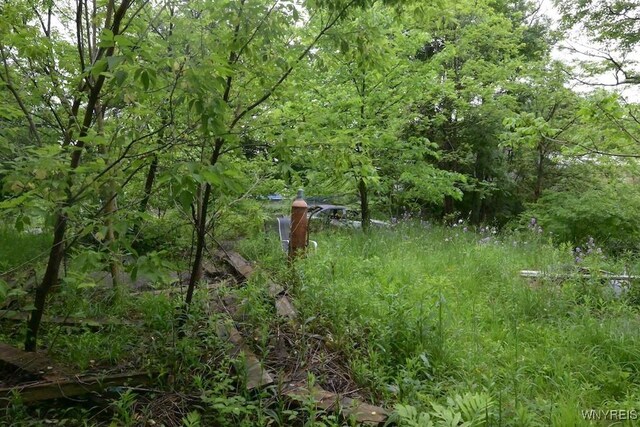 39 Waverly St, New Albion, NY 14719 - view of undeveloped land