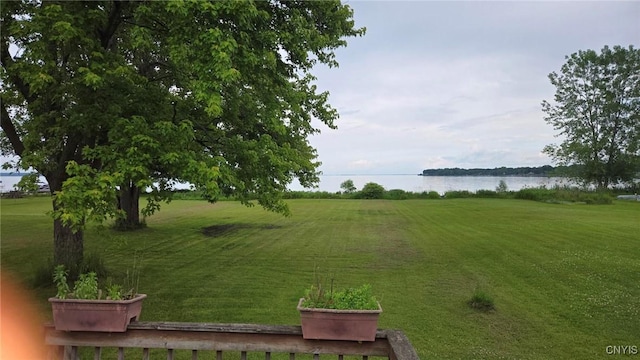 9407 Lakeshore View Rd, Sullivan, NY 13037 - surrounding community with a water view and a yard
