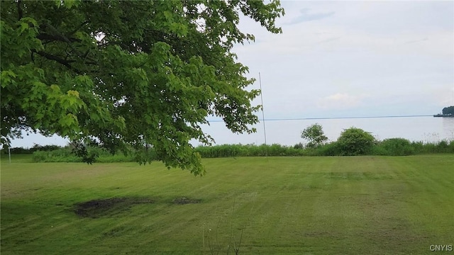 9407 Lakeshore View Rd, Sullivan, NY 13037 - view of green lawn