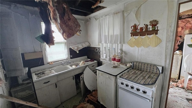 9407 Lakeshore View Rd, Sullivan, NY 13037 - kitchen with a sink