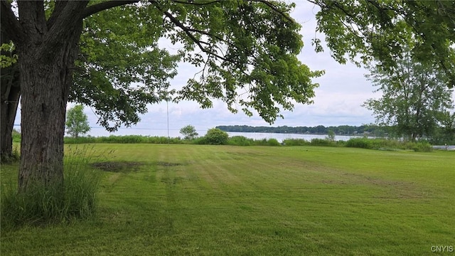 9407 Lakeshore View Rd, Sullivan, NY 13037 - view of community with a lawn and a water view