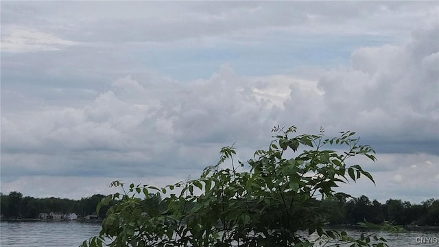 9407 Lakeshore View Rd, Sullivan, NY 13037 - water view featuring a forest