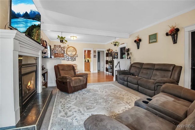 18 Bader Ave, Collins, NY 14070 - living room with a premium fireplace, wood finished floors, and ornamental molding