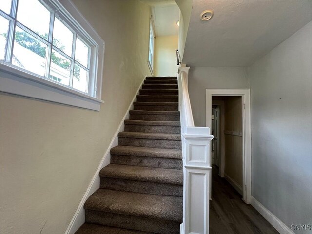 56 Ballantyne Brae, Utica, NY 13501 - photo 16
